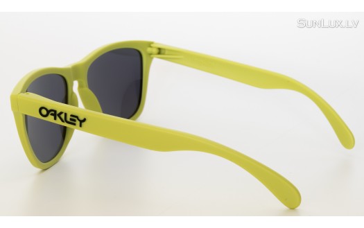 Oakley Frogskins (OO9013 24-341 55mm) saules brilles